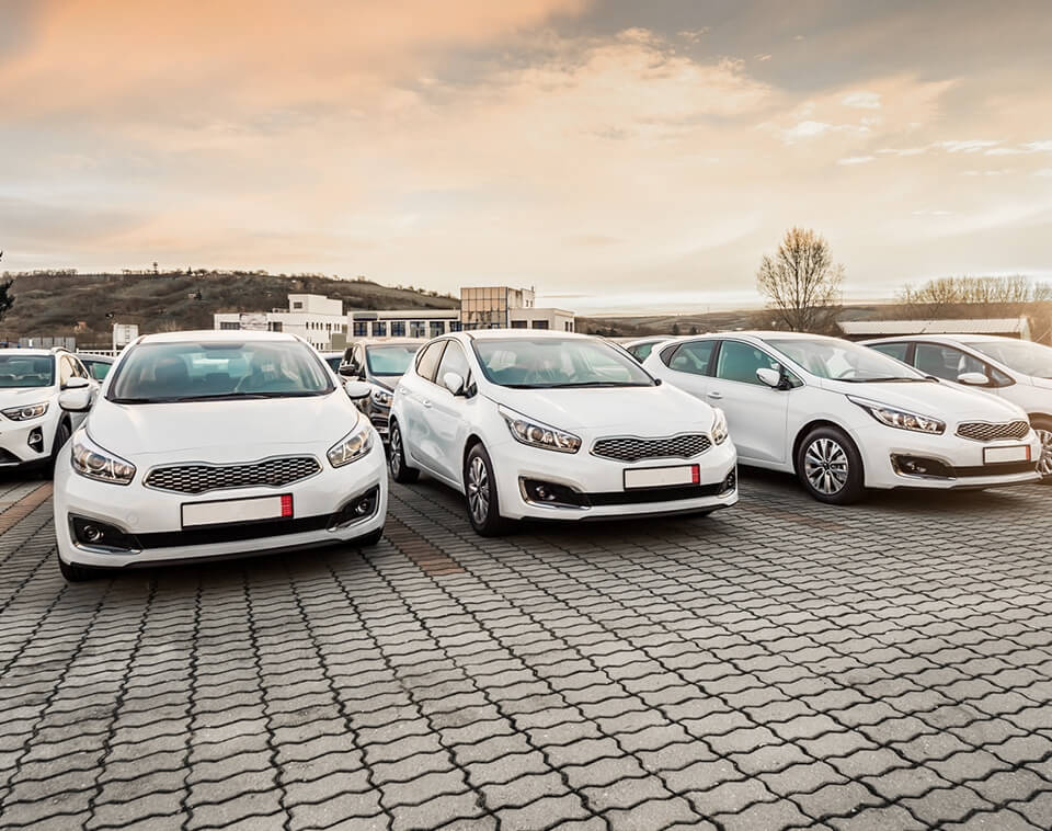 shutterstock_1311340493_(1)